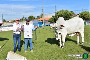 Expopar Julgamento Nelore Mocho