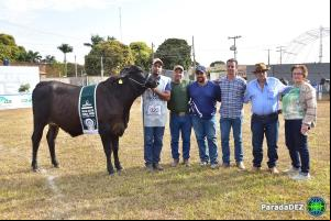 Expopar Julgamento Girolando