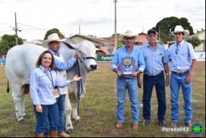 Expopar Julgamento Nelore Mocho