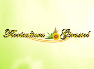 Floricultura Girassol