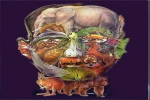 Existem diversos animais na imagem.