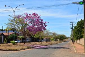 Avenida Aristides Klafk - 2020